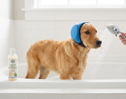 Dog wearing blue noise-reducing ear defenders during a bath and grooming session